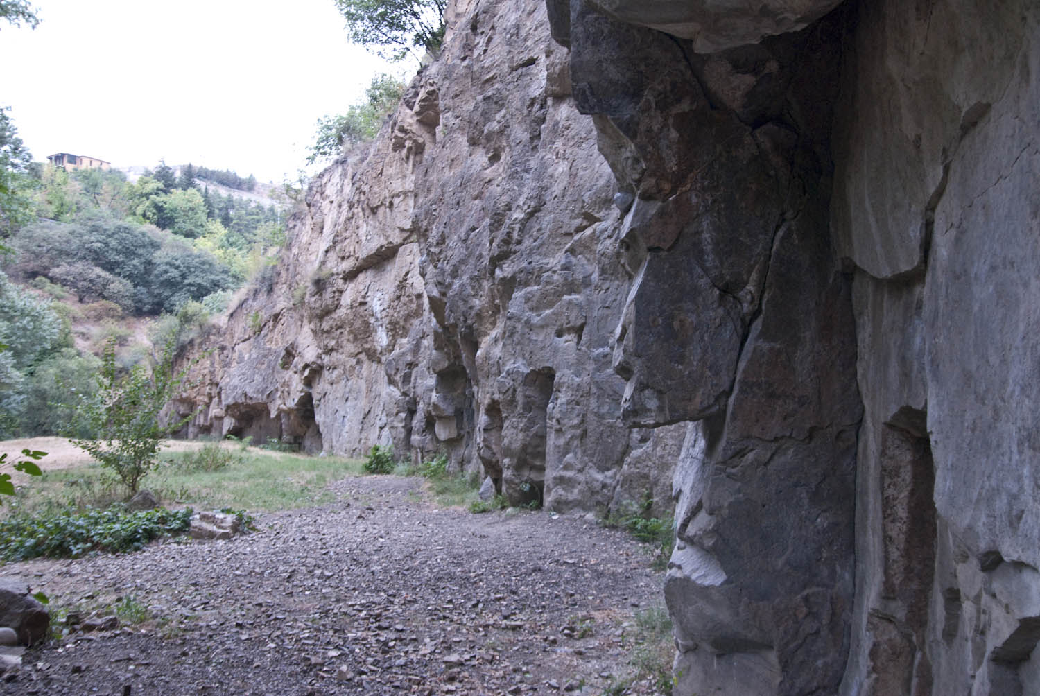 Botanical Garden Climbing Wall