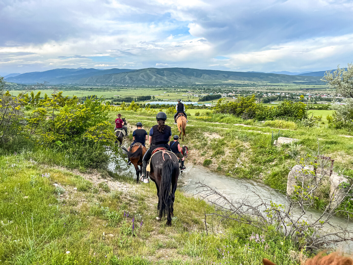 Palomino Ranch