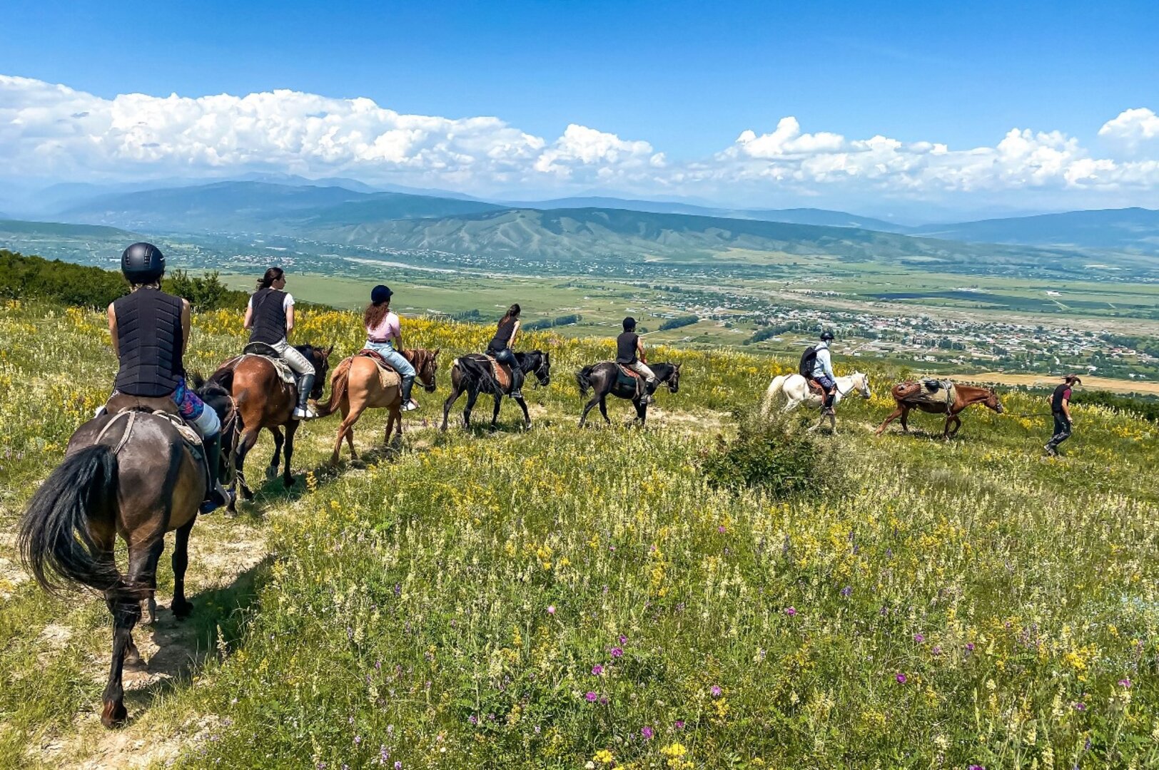 Palomino Ranch