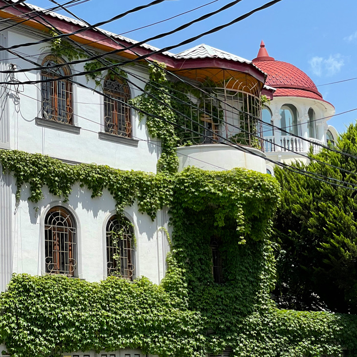 Tbilisi yoga villa