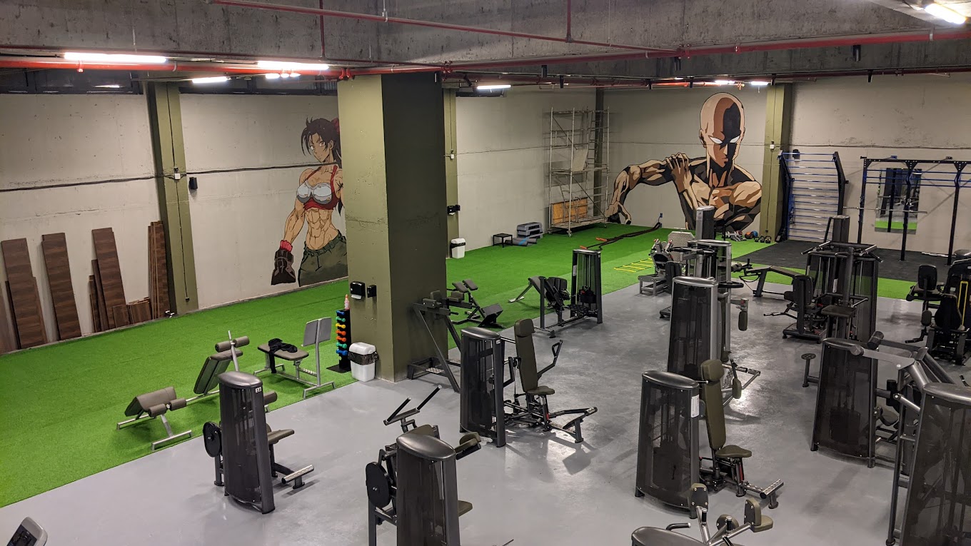 GYM13
