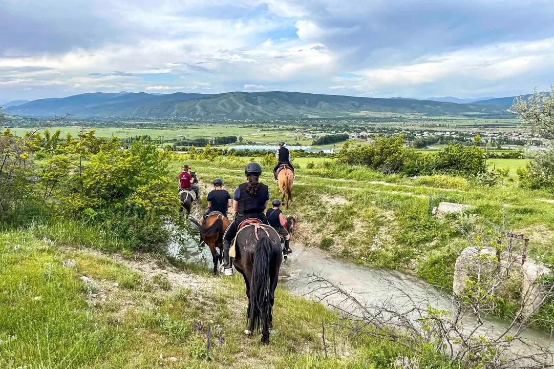 Palomino Ranch