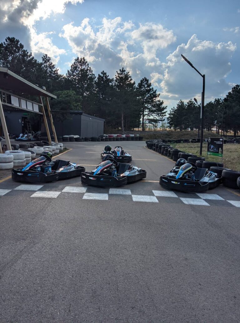 Lisi Lemans