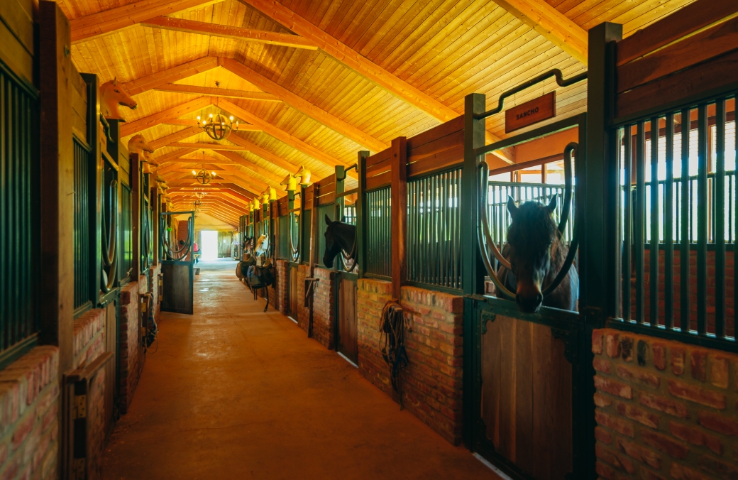 Ambassadori Equestrian Club
